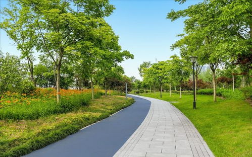 園林景觀中道路與鋪裝的系統(tǒng)性設(shè)計與施工要旨